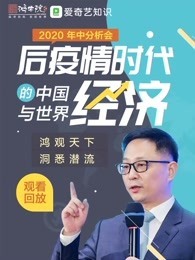 2020宋鸿兵年中分析会—后疫情时代的中国与世界经济（录播）